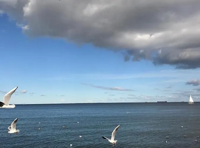 Apartmán Centrum Ii